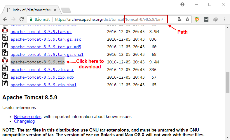 Download Tomcat server Download Tomcat server