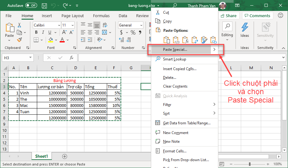 Copy/Paste trong Excel Copy/Paste trong Excel