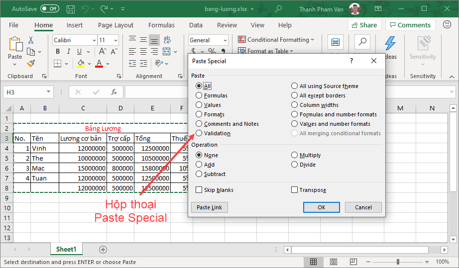 Copy/Paste trong Excel