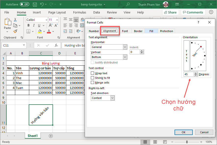 Định hướng văn bản trong Excel