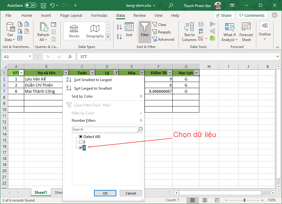 Lọc dữ liệu (Data Filter) trong Excel