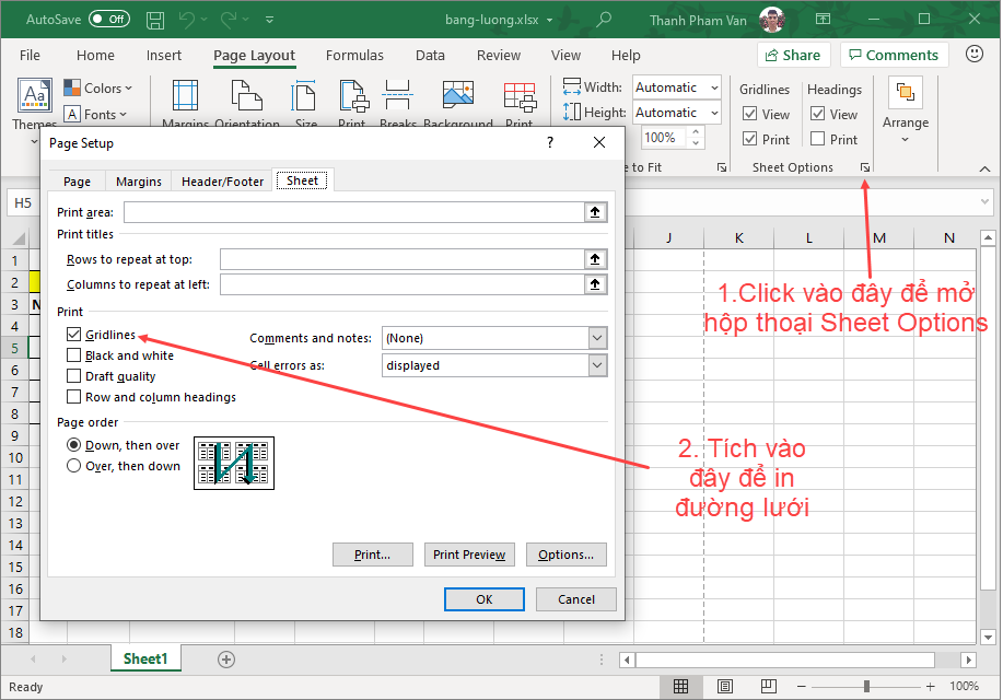 Sheet Options trong Excel Sheet Options trong Excel